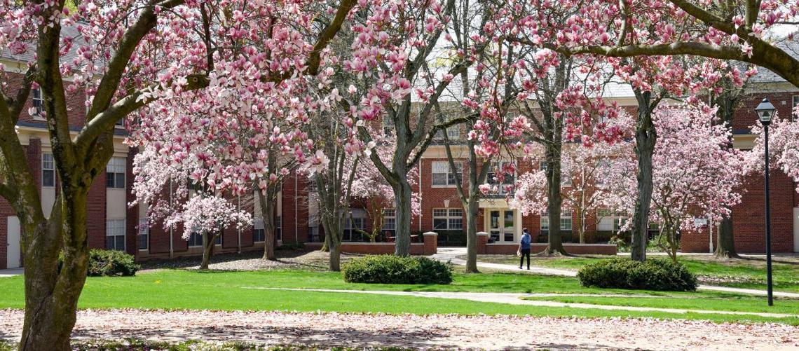 Susquehanna in the Spring, Facebook cover photo